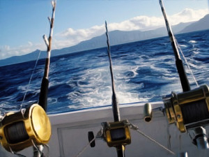 fishing rod holders